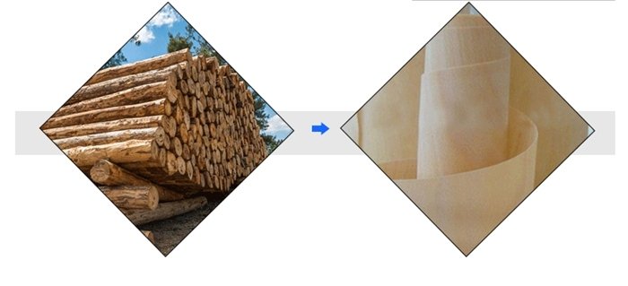 M&aacute;quina de corte y pelado de madera contrachapada todo en uno