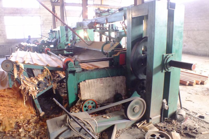 La m&aacute;quina peladora de chapa de troncos con husillo de control CNC La mejor venta en Gab&oacute;n