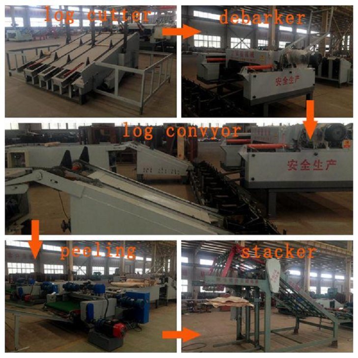 Línea automática de producción de madera contrachapada Jinlun de 4 pies