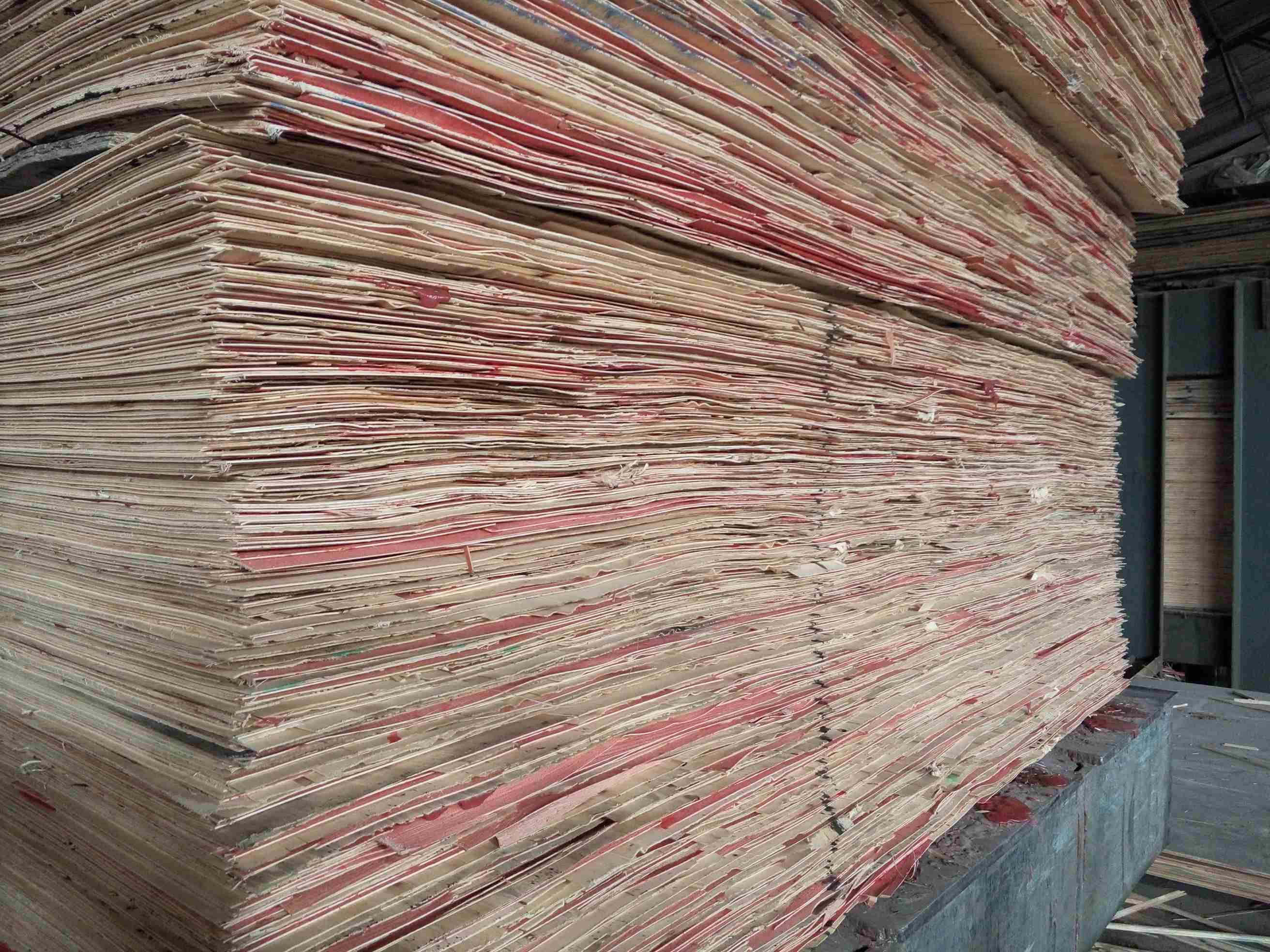 Máquina de prensado en frío de 400 T y 48 pies para línea de producción de madera contrachapada