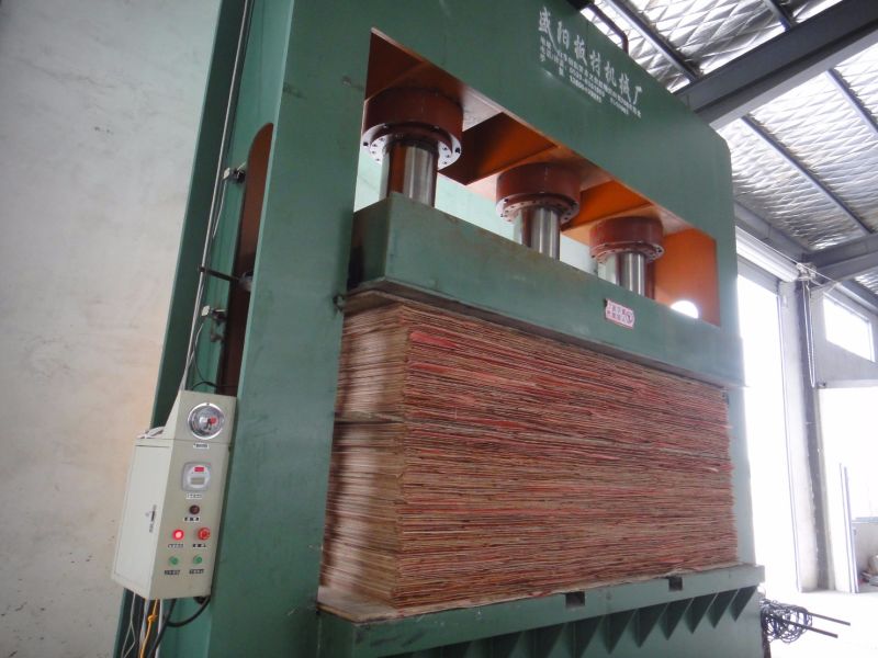 M&aacute;quina de prensado en fr&iacute;o de madera contrachapada para m&aacute;quina de trabajo de madera
