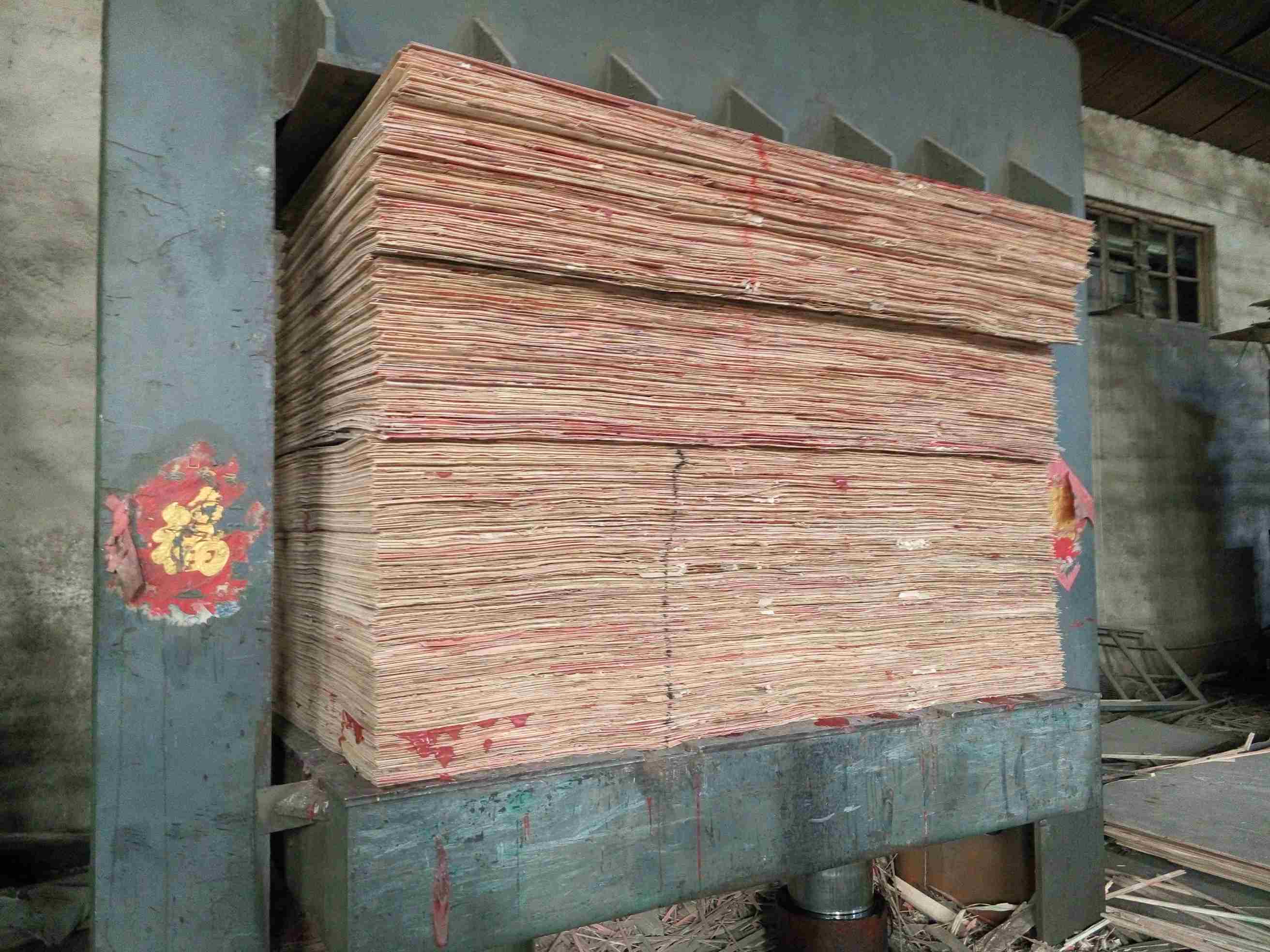 Máquina hidráulica de prensado en frío para la fabricación de tableros multicapa de China