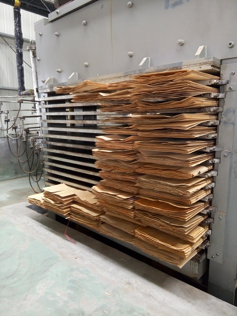 La máquina secadora de chapa de madera de aire caliente de 8 pies