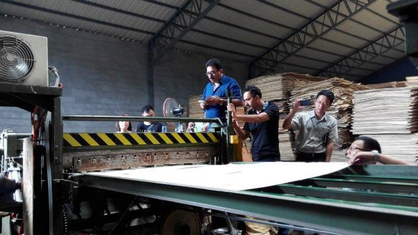 Chapa de madera contrachapada Composer/Chapa Finger Jointer para la venta